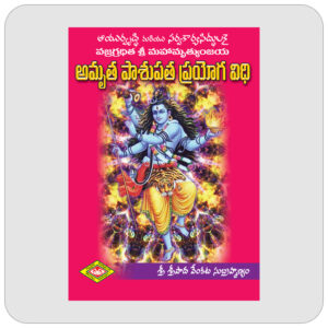అమృత పాశుపత ప్రయోగ విధి